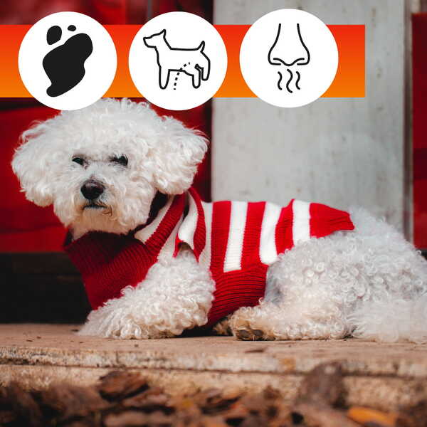 Skalbiklis/valiklis naminių gyvūnų guoliams, drabužiams ir žaislams OA PETS FABRIC CLEANER 2in1 (500 ml) 7