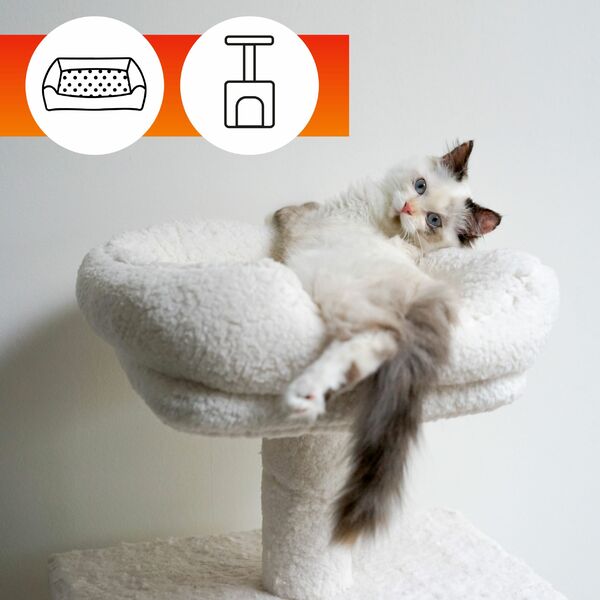 Kvapų šalinimo priemonė naminių gyvūnų guoliams ir tekstilei OA PETS ODOUR REMOVAL (250 ml) 4