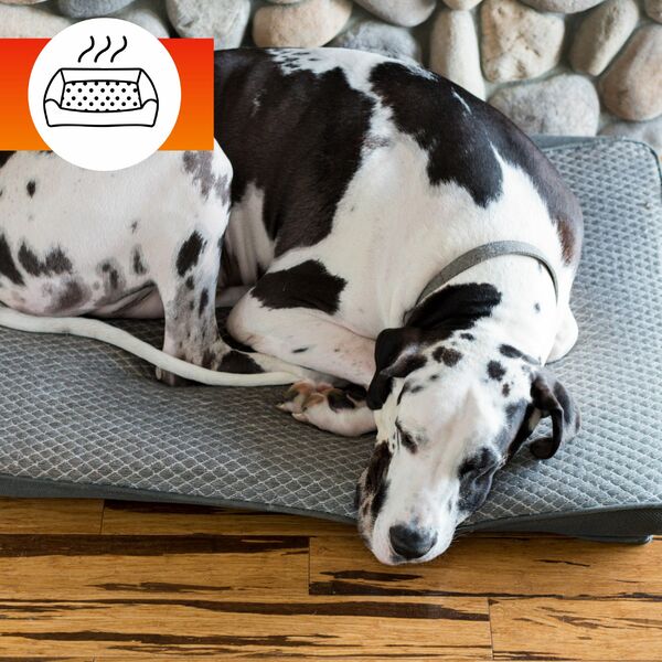 Kvapų šalinimo priemonė naminių gyvūnų guoliams ir tekstilei OA PETS ODOUR REMOVAL (250 ml) 5